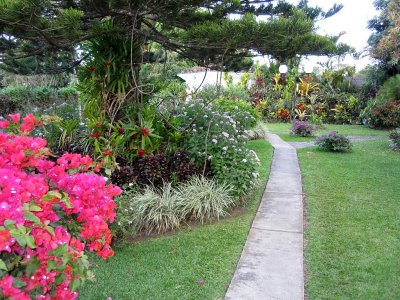Garden view