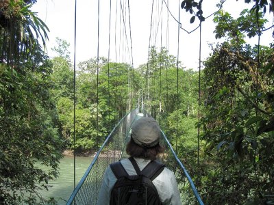 Selva Verde bridge