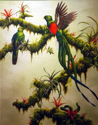 Quetzal Print