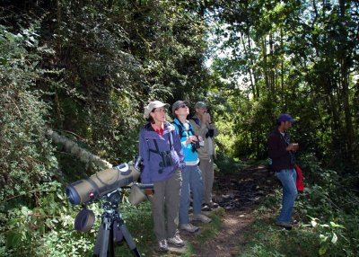 Birding on Volcan Baru