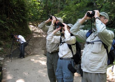 Tropical birding1