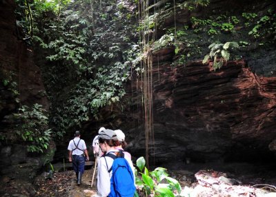 Oilbird cave