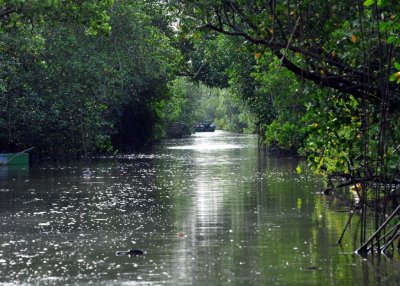 Caroni swamp canal