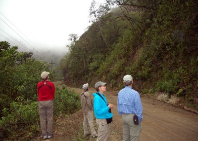 Mindo area Birding