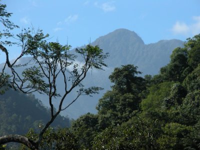 View of Pico Bonito National Park