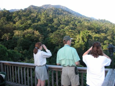 Birding from tower