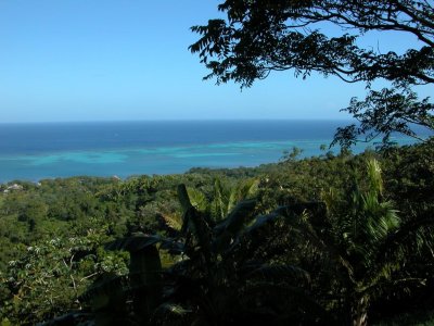 View of Reef offshore of Roatan
