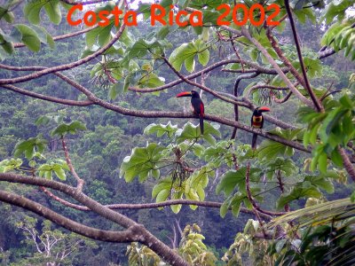 Costa Rica February 2002