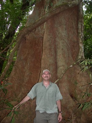 Big trees & very hot!