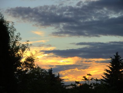 Sunset from my window2