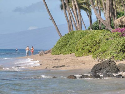 Maui 2786
