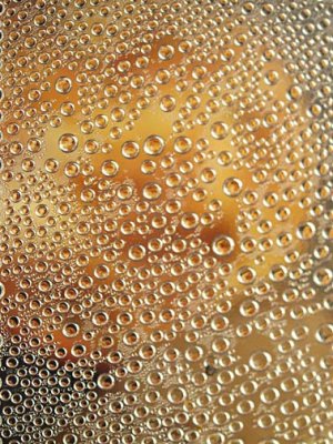 Natural Abstract 0268