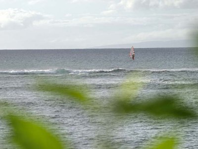 Maui 2600