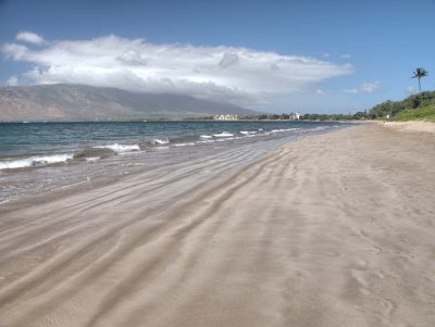 Maui 2524