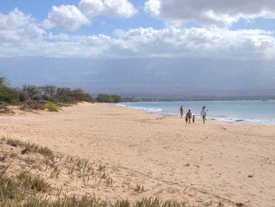 Maui 3084