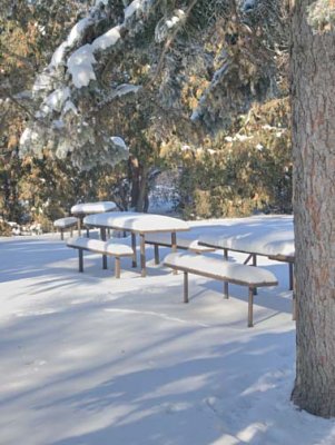No picnic today 4244