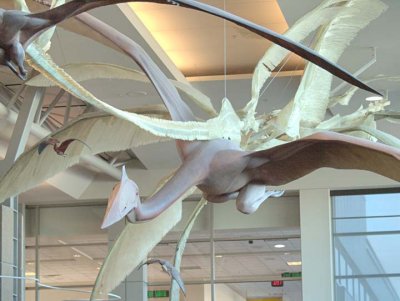 Low-flying pterodactyls