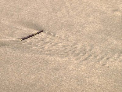 Natural abstract 32776