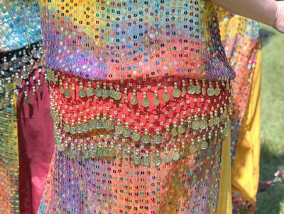 Costume detail 357