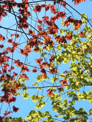 Nature 6914