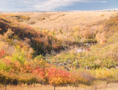 Colourful coulee