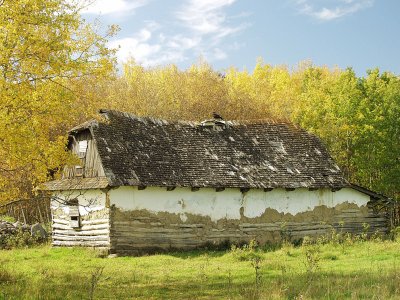 Chinked log house