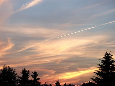 Back yard sunset