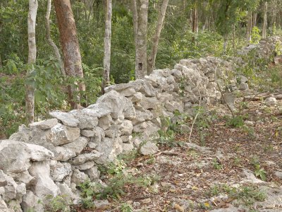 Mayan farm fence