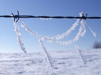 Hoarfrost fence