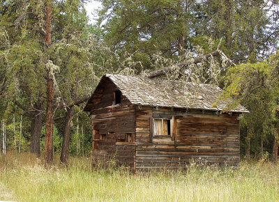 Bachelor's cabin