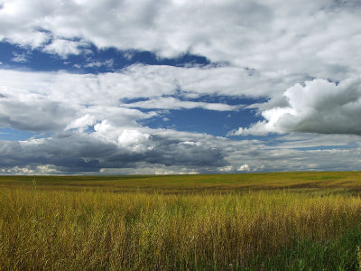 Skyscape #3