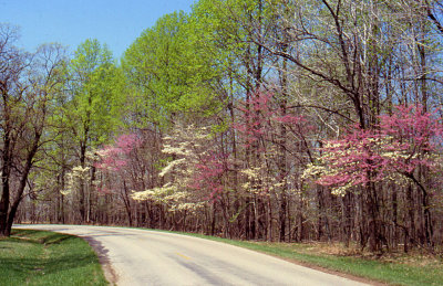 Spring in Brown County, IN
