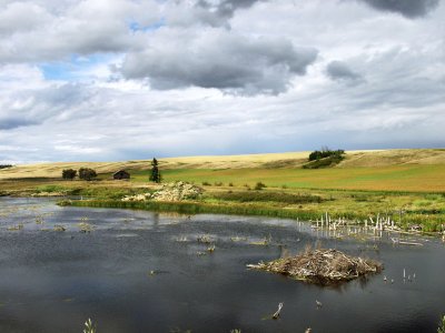 Prairie wetland