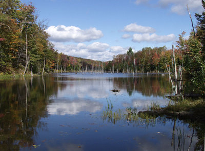 Near Magog, QC