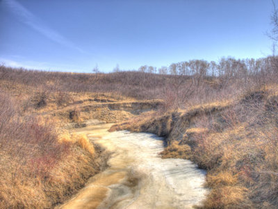 Beaver Creek - late Spring #1
