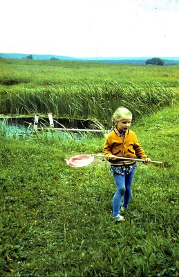 1978-4.jpg