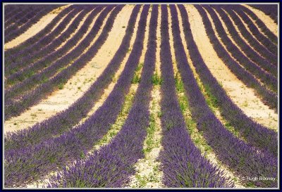 FRANCE - PROVENCE