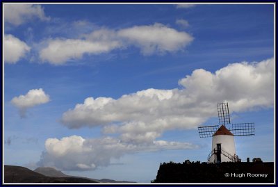 SPAIN - ISLAND OF LANZAROTE - JARDIN DE CACTUS