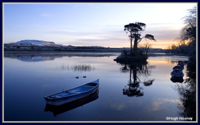  Ireland - Co Sligo - Sligo - Dawn on Lough Gill at Doorly Park