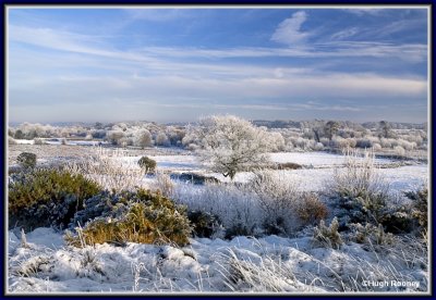 Ireland - Co.Roscommon - Winter scence near Boyle
