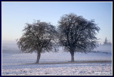 Ireland - Co.Roscommon - Winter scene near Tulsk