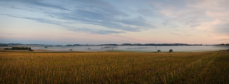 Fog Field Sunrise Panorama