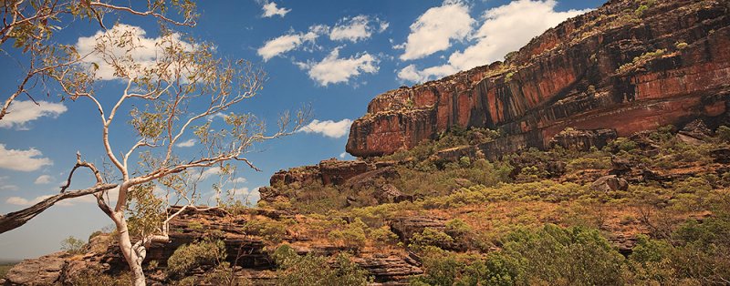 Nourlangie Rock Panorama