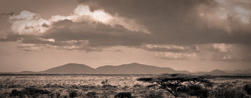 Cloudscape over the savannah