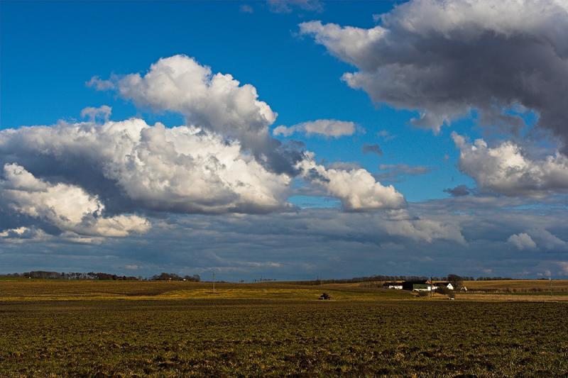 wideangle field