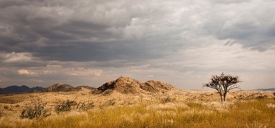 Cloudy Day in Namib Desert