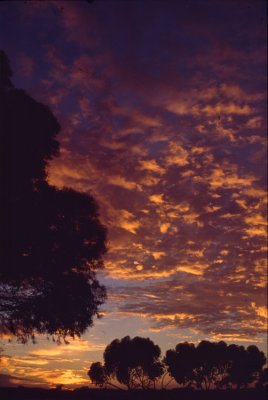 Sunrise near Kalgoorlie 2