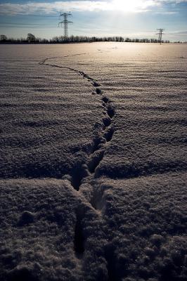 Footsteps