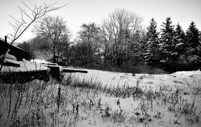 Mono snow