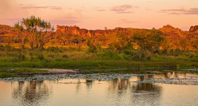 Hawk Dreaming landscape and East Alligator river